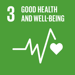 Goal 3. Good health and well-being