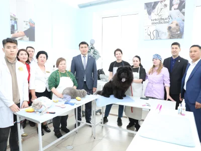 SHAKARIM UNIVERSITY: WHERE SCIENCE MEETS CARE — NEW GROOMING SALON OPENED
