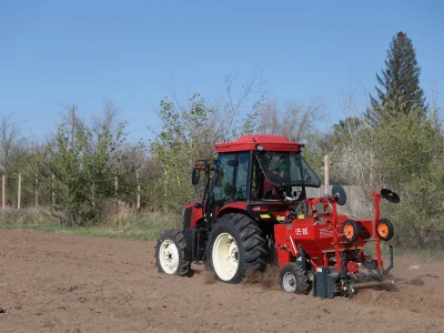 SCIENTISTS ARE EXPERIMENTING WITH A NEW TECHNOLOGY TO INCREASE POTATO YIELDS