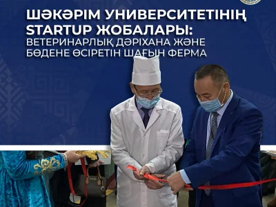 СТАРТАП ПРОЕКТЫ УНИВЕРСИТЕТА ШАКАРИМА: ВЕТЕРИНАРНАЯ АПТЕКА И МИНИ-ФЕРМА ПО ВЫРАЩИВАНИЮ ПЕРЕПЕЛОВ