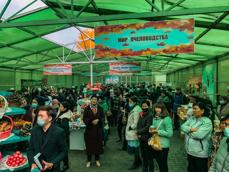 БЕРЕКЕЛІ ІС МЕРЕКЕЛІ КЕЛЕДІ