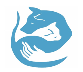 Student scientific club "Surgeon"